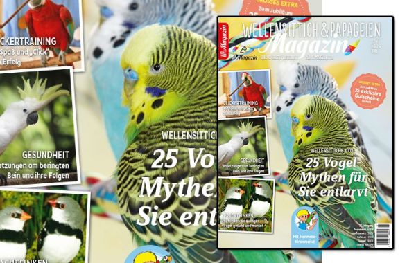 WP Magazin 2-2019