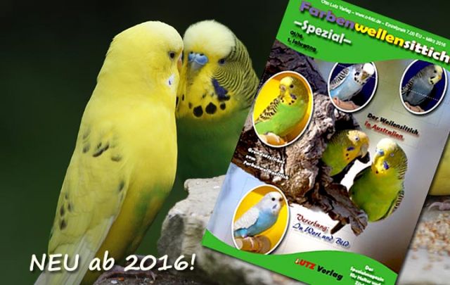 Farbenwellensittiche -Spezial- 01/16
