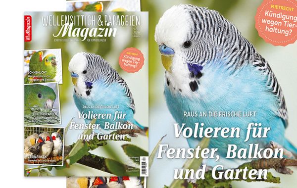 WP Magazin 04-2020 Juli/ August