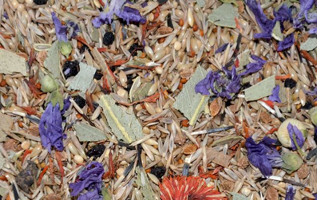 Eukalyptus Spezial
