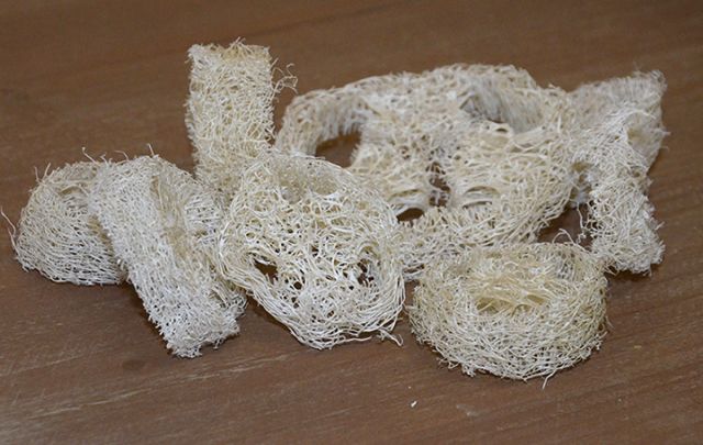 Loofah Schwamm