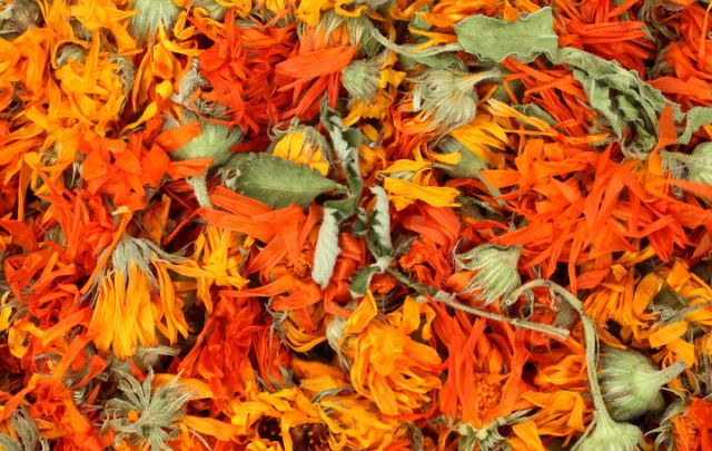Ringelblumenblüten