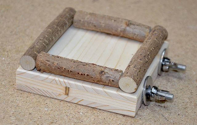 Körnerbude Futtersitzbrett 10 x 10 cm