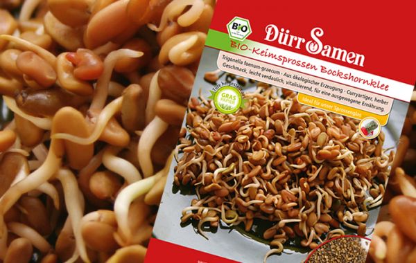 Bio Keimsprossen Bockshornklee 75g