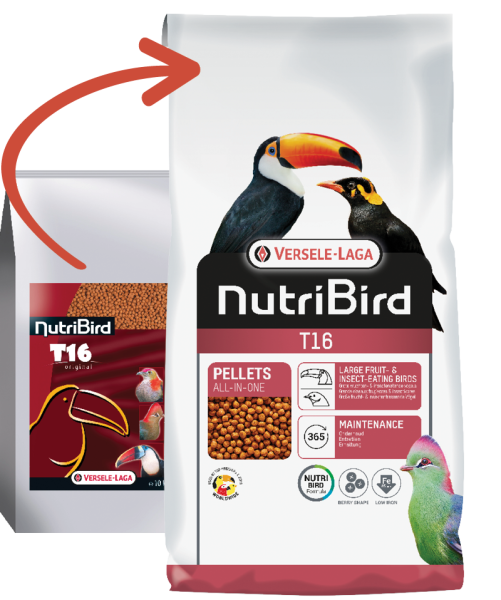 Beo NutriBird T16