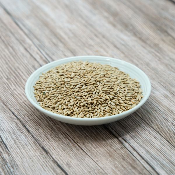 Spitzsaat