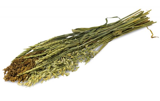 JR FARM Sommer-Ernte 80g