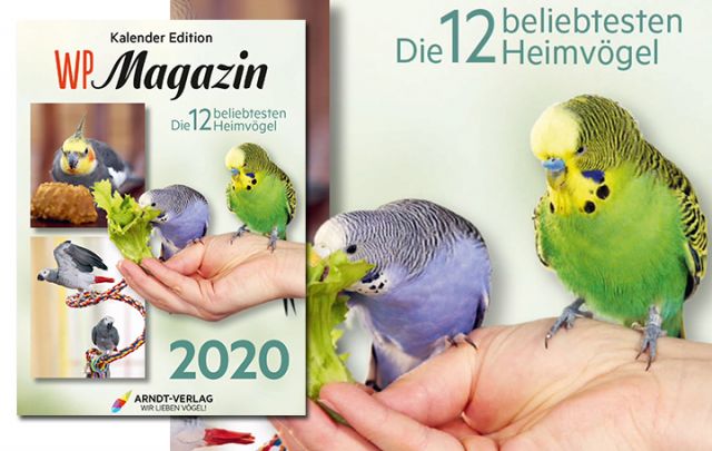 Kalender WP-Magazin 2020