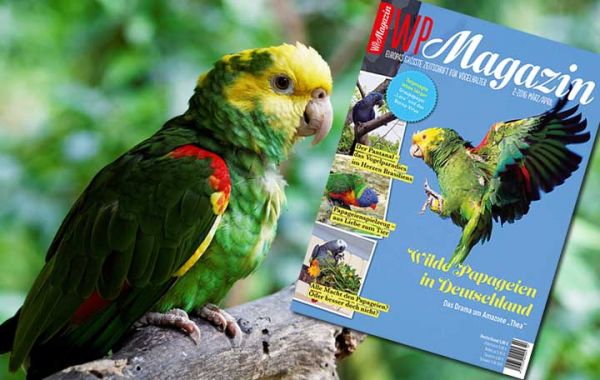 WP Magazin 2-2016 Marz/ April 2016