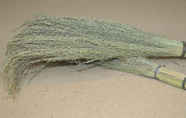 Pagima Green in der Rispe 180g
