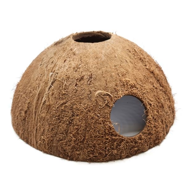 halbe Kokosnuss mit 2 Öffnungen ca. 10 - 13 cm