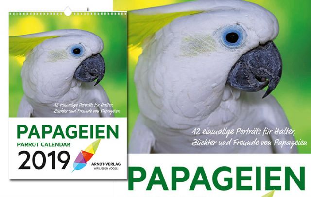 Kalender PAPAGEIEN 2019