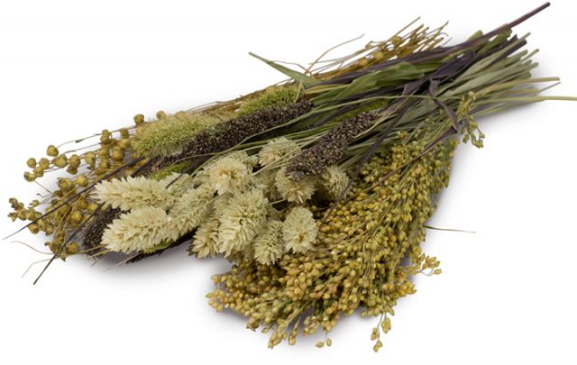 JR FARM Knabber-Potpourri 50g