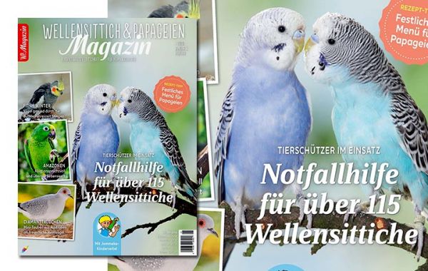 WP Magazin 1-2020