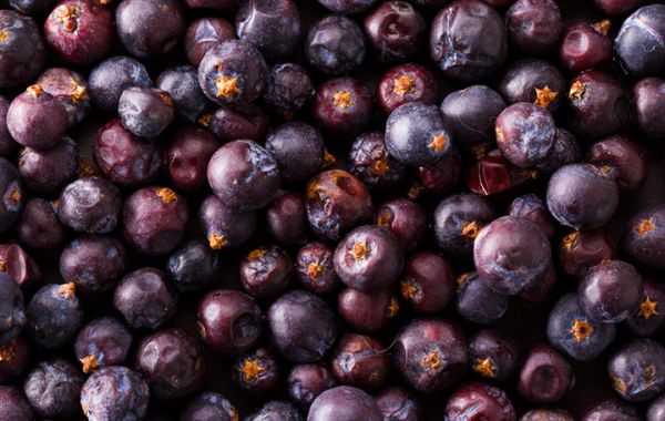 Holunderbeeren, getrocknet