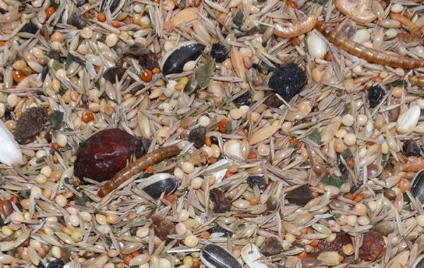 Naturmischung Großsittiche