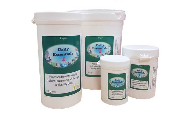 Daily Essential I