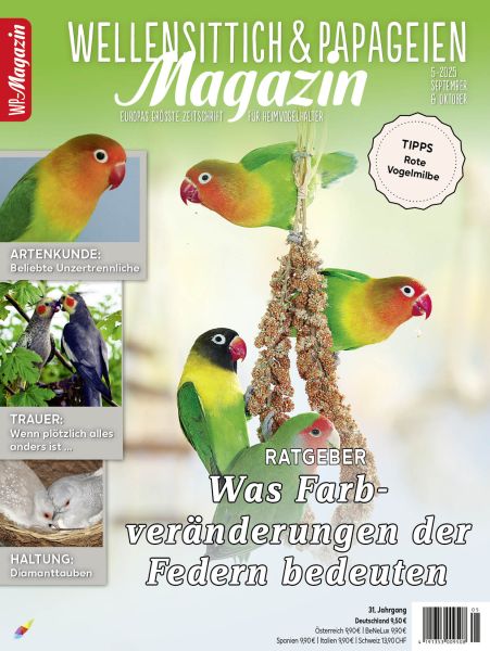 WP-Magazin 5-2025