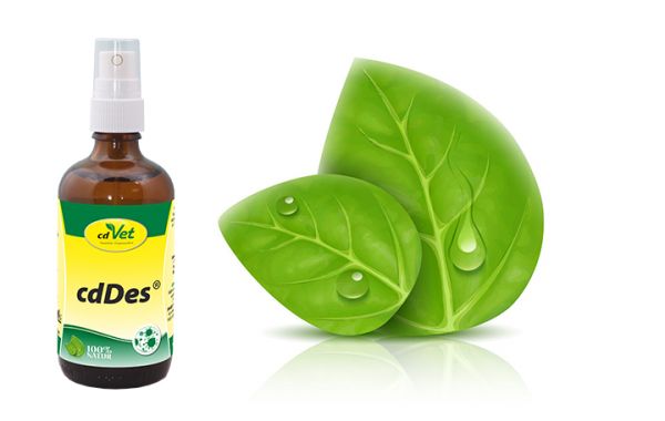 cdDes - 100 ml