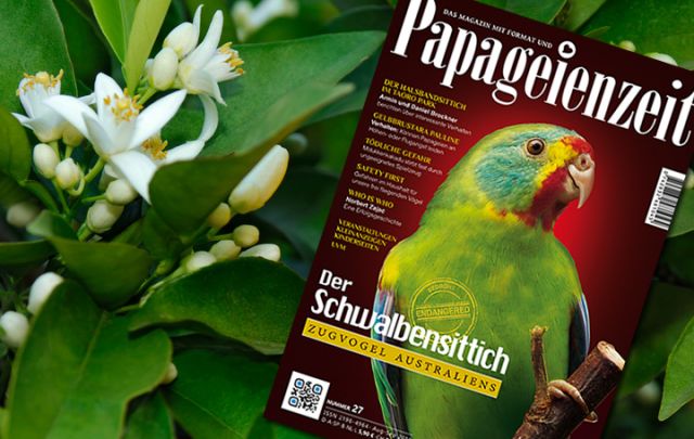 Papageienzeit Nr. 27 August/September 2016