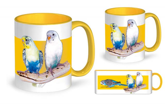 Papageien Tasse Farbwellensittiche
