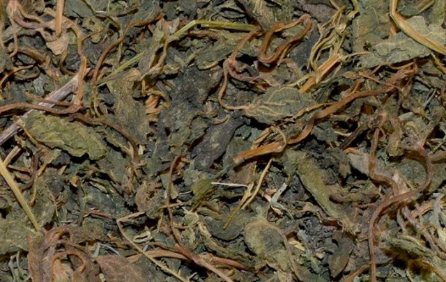 JR FARM Brennessel 80g