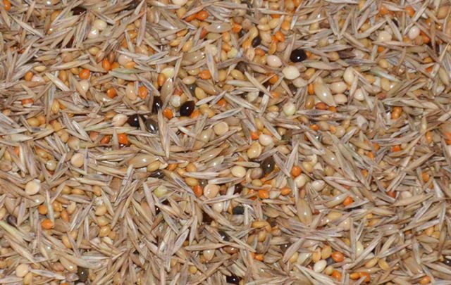 Hirse-Mix