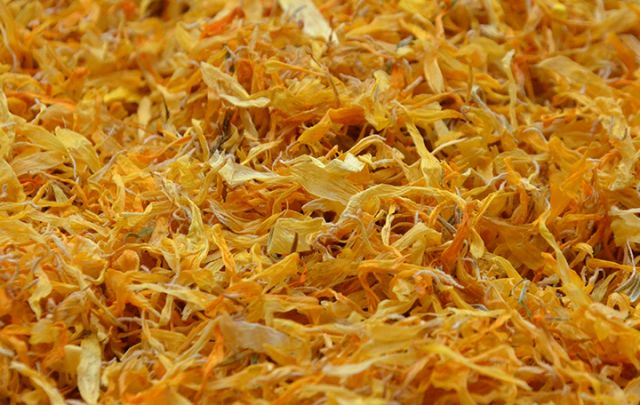 Ringelblumenblütenblätter