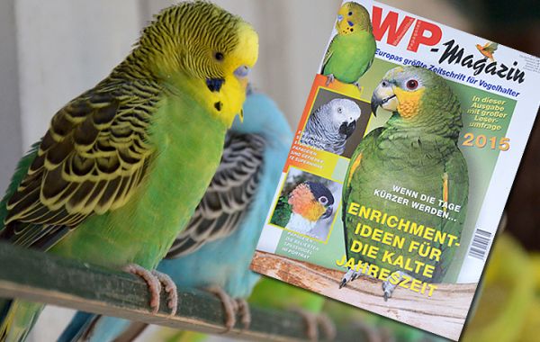 WP Magazin Nr. 6 November/Dezember 2015