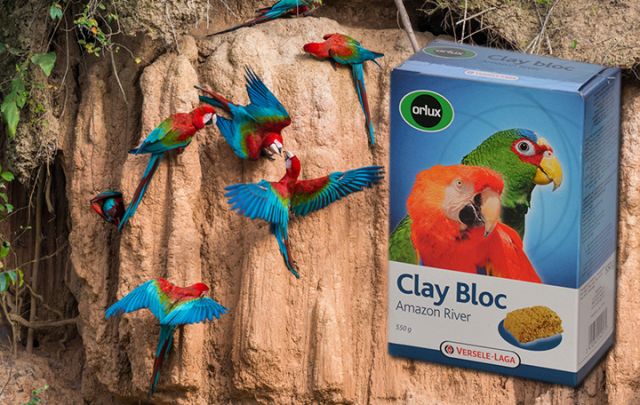 Clay Bloc 450g