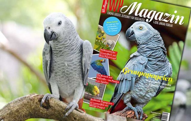 WP Magazin 1-2016