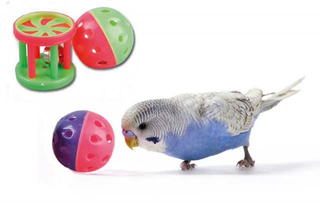Rolle & Ball