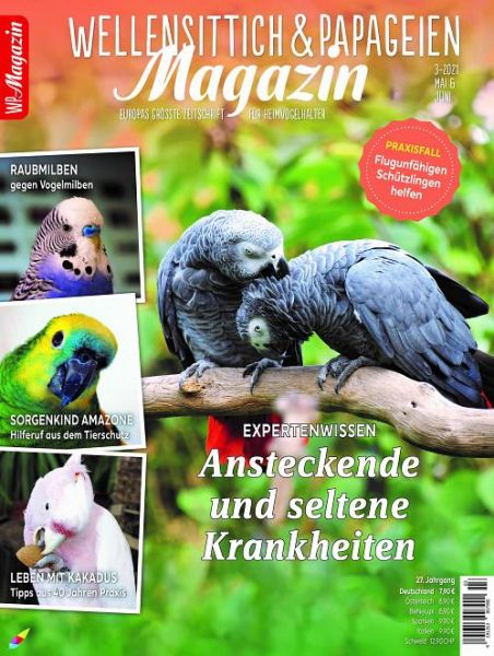 WP Magazin 3/21