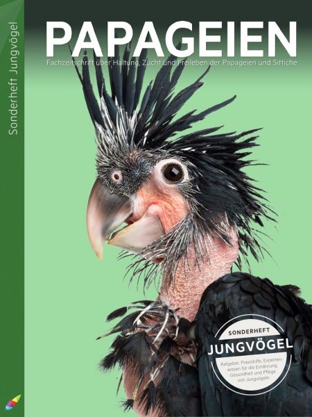 PAPAGEIEN-Sonderheft Jungvögel